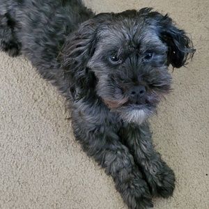 Meet your Posher, Annette